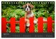 Thumbnail-9