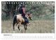 Thumbnail-14