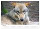 Thumbnail-11