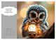 Thumbnail-12