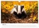Thumbnail-8
