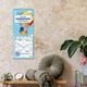 Thumbnail-14