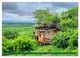 Thumbnail-12