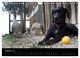 Thumbnail-12