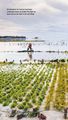 Thumbnail-12