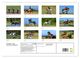 Thumbnail-4