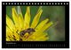 Thumbnail-13