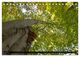 Thumbnail-11
