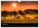 Thumbnail-14