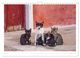 Thumbnail-8