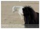 Thumbnail-13