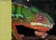 Thumbnail-8