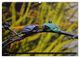Thumbnail-9
