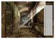 Thumbnail-13