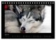 Thumbnail-12