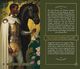 Thumbnail-8