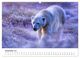 Thumbnail-13