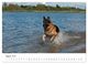 Thumbnail-12