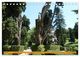 Thumbnail-9