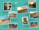 Thumbnail-11