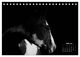 Thumbnail-12