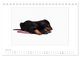 Thumbnail-12