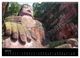 Thumbnail-11