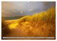 Thumbnail-9