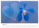 Thumbnail-13