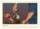 Thumbnail-13