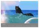 Thumbnail-12