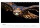 Thumbnail-12