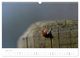 Thumbnail-11