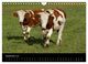 Thumbnail-11