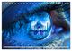 Thumbnail-9