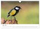 Thumbnail-8