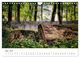 Thumbnail-8