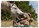 Thumbnail-11