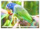 Thumbnail-9