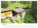 Thumbnail-9