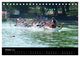 Thumbnail-12
