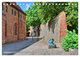 Thumbnail-14
