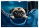 Thumbnail-10