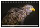 Thumbnail-14
