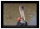 Thumbnail-10