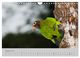 Thumbnail-13