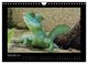 Thumbnail-14