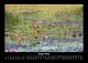 Thumbnail-12