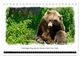 Thumbnail-11