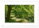 Thumbnail-9